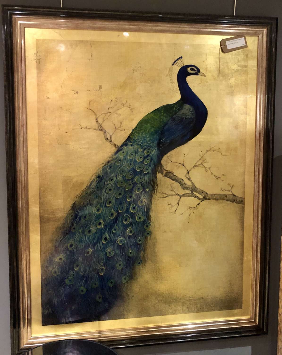 Golden peacock picture