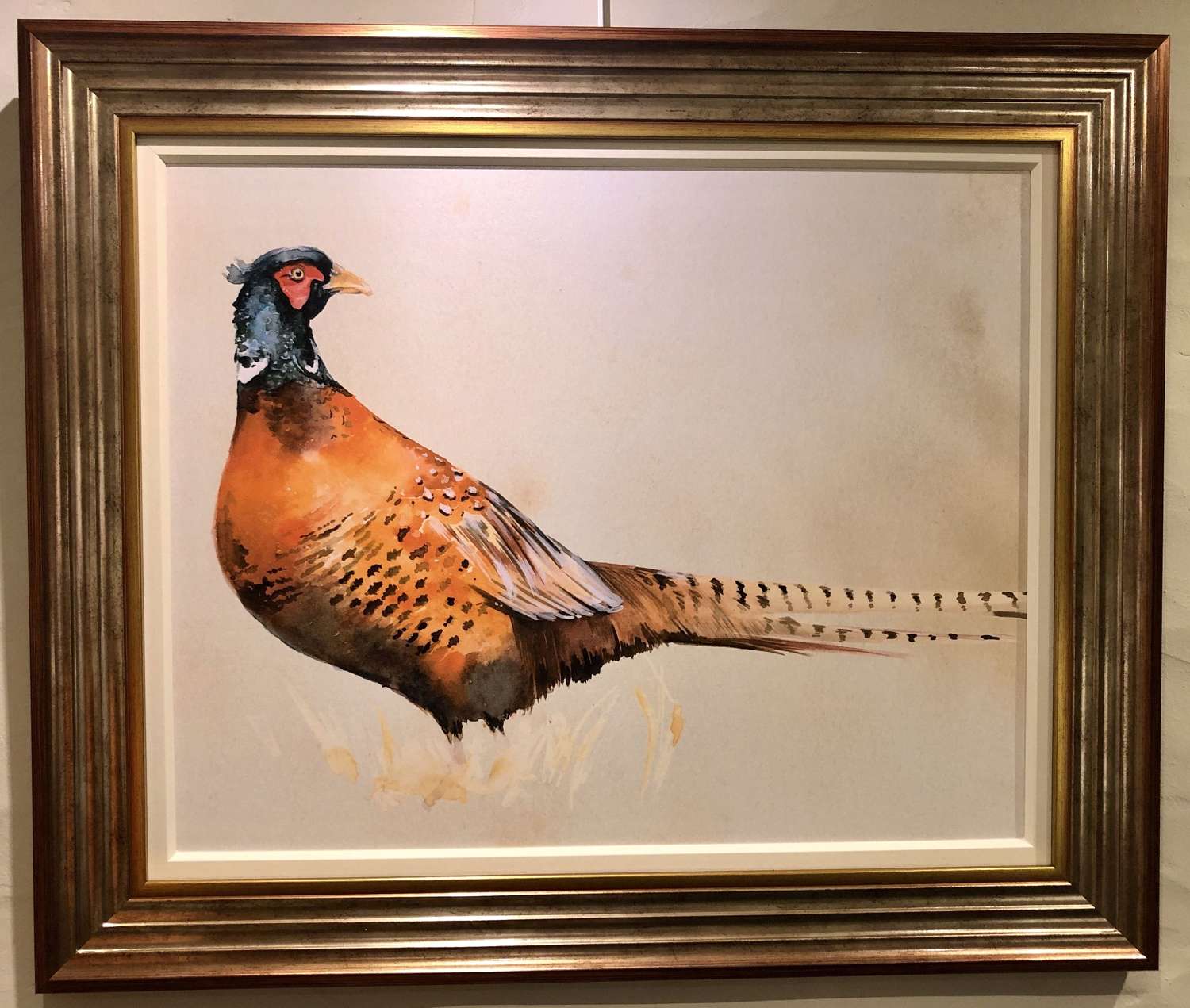 Pheasant picture