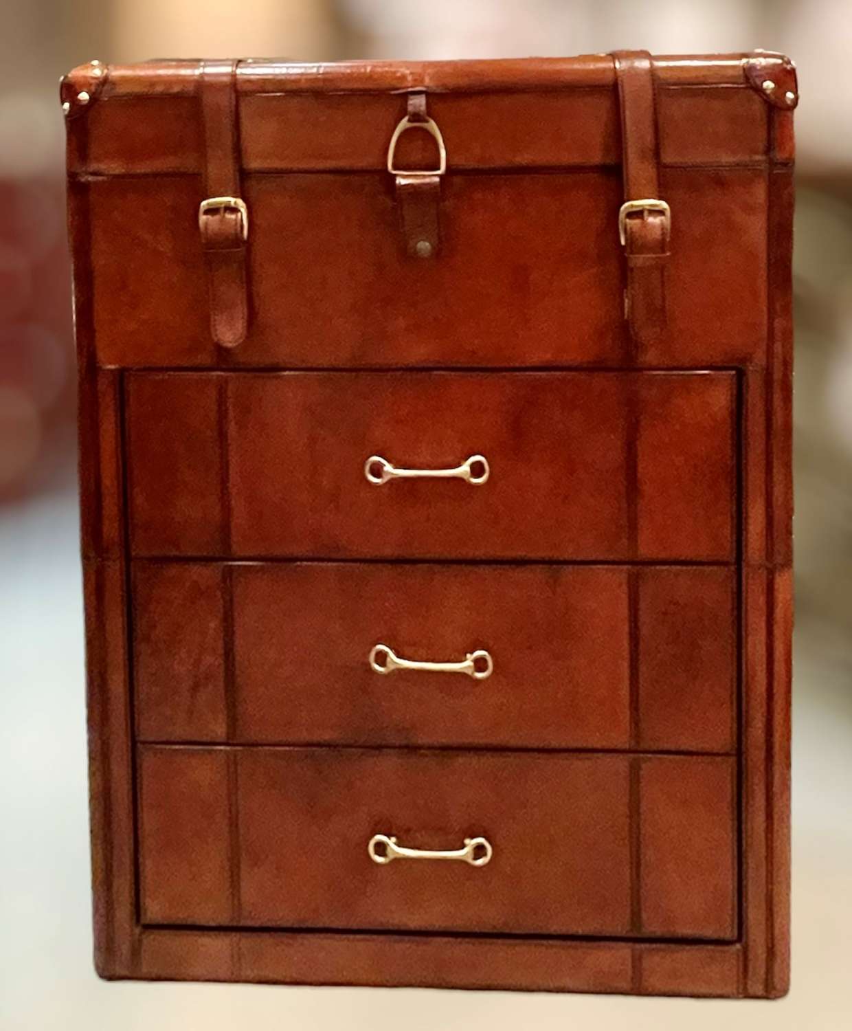 Leather dressing trunk
